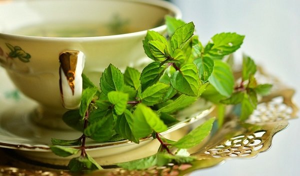 Green Tea for acne