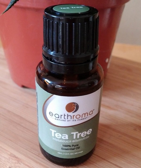 Tea Tree Oil for acne