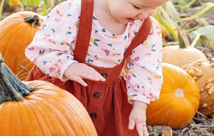 toddler girl fall clothes