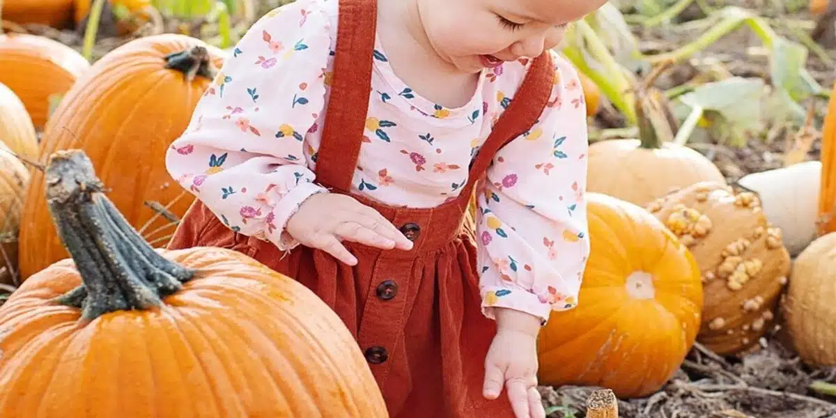 toddler girl fall clothes